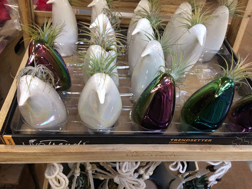 Health Food Store «Sprouts Farmers Market», reviews and photos, 7153 Amador Plaza Rd, Dublin, CA 94568, USA