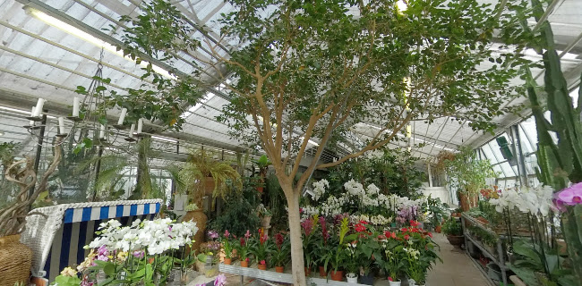 Rezensionen über Blumen Müller in Winterthur - Blumengeschäft