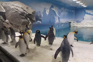 Penguin Encounter image