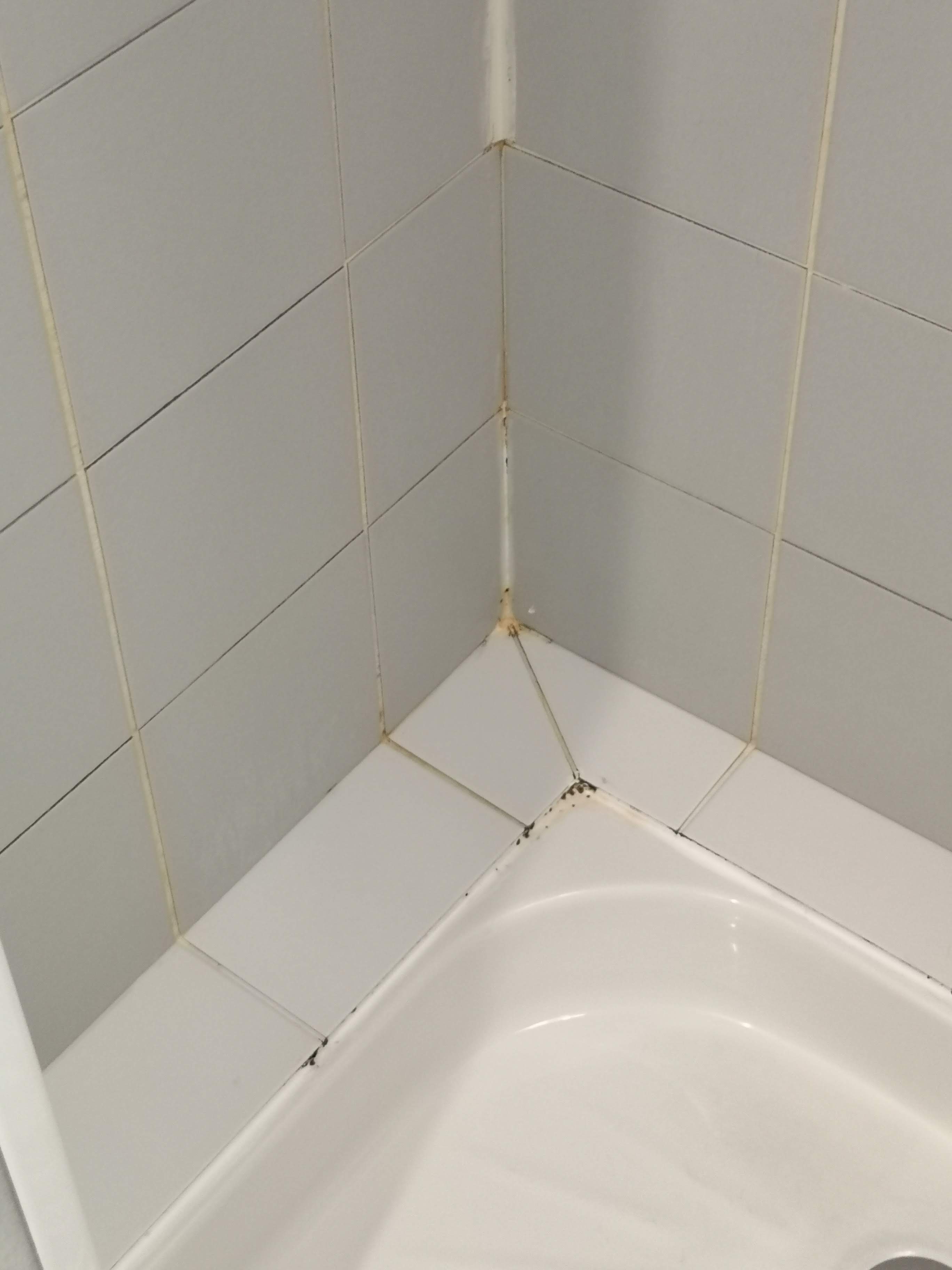 Photo n° 2 de l'avis de Greg. fait le 22/07/2019 à 09:33