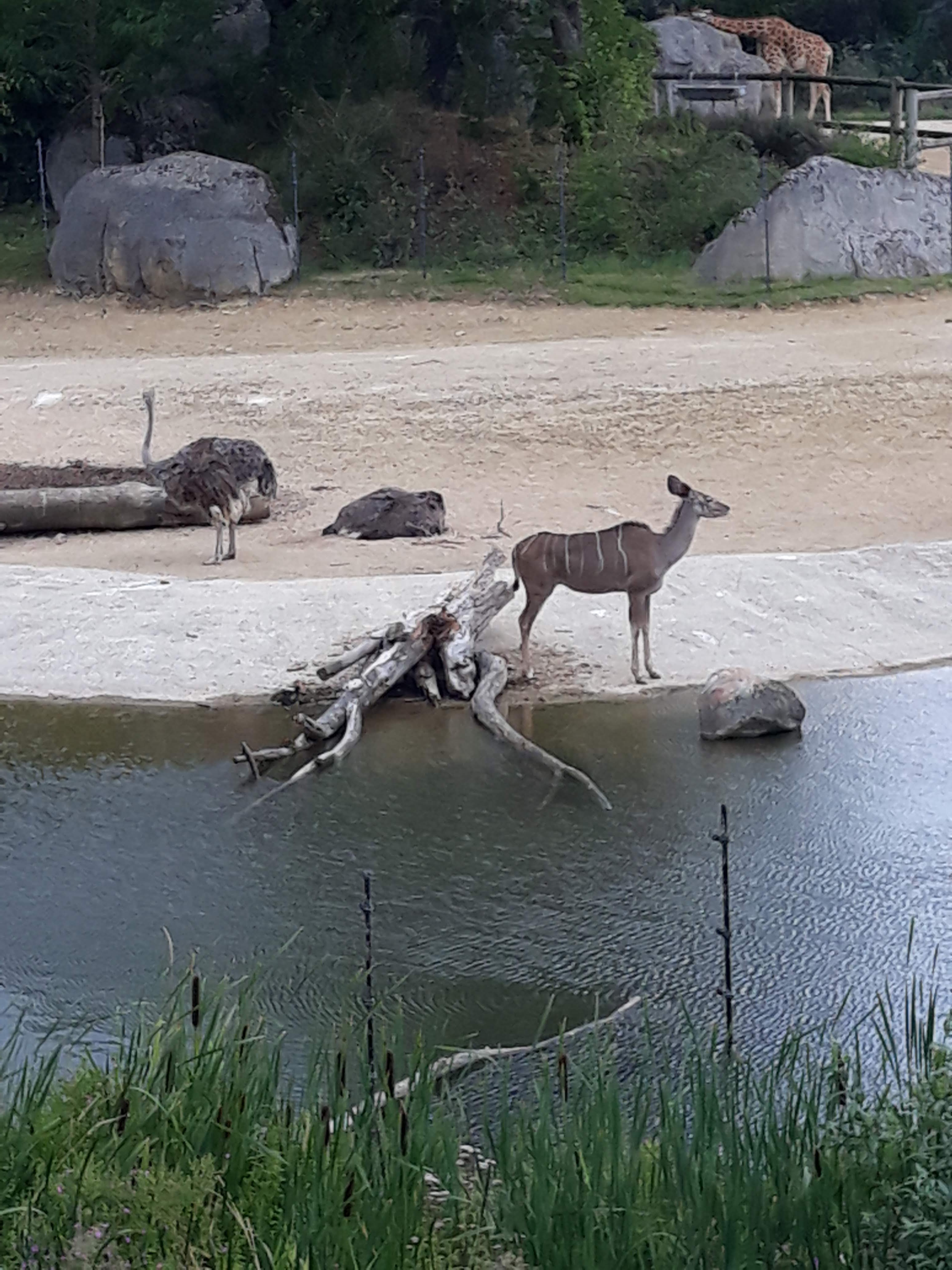 Photo n° 24 de l'avis de Ludo.a fait le 30/08/2021 à 17:15