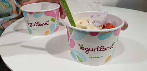 Yogurtland Belmont Shore