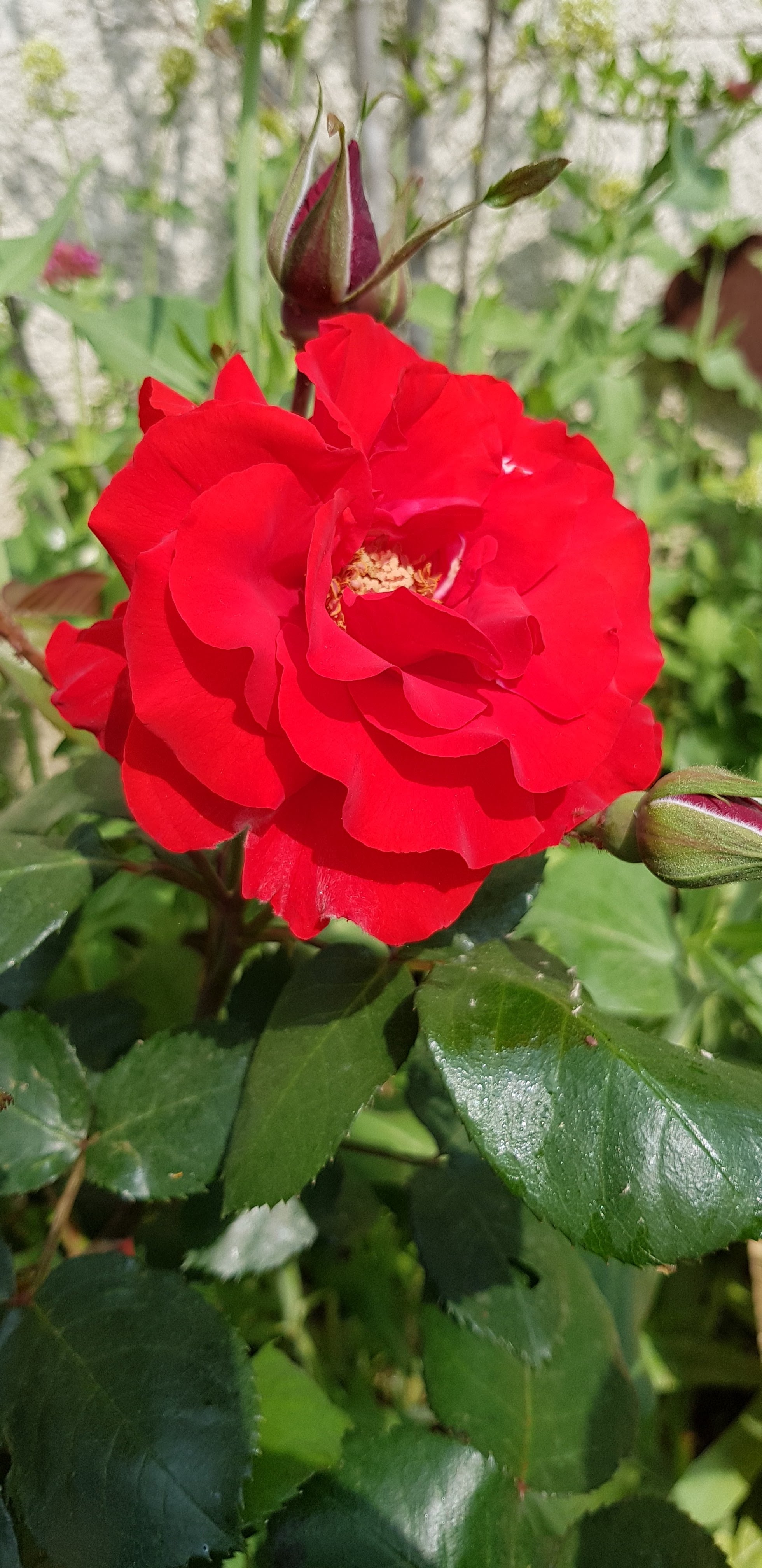 Photo n° 13 de l'avis de Cyril.m fait le 12/05/2018 à 20:31