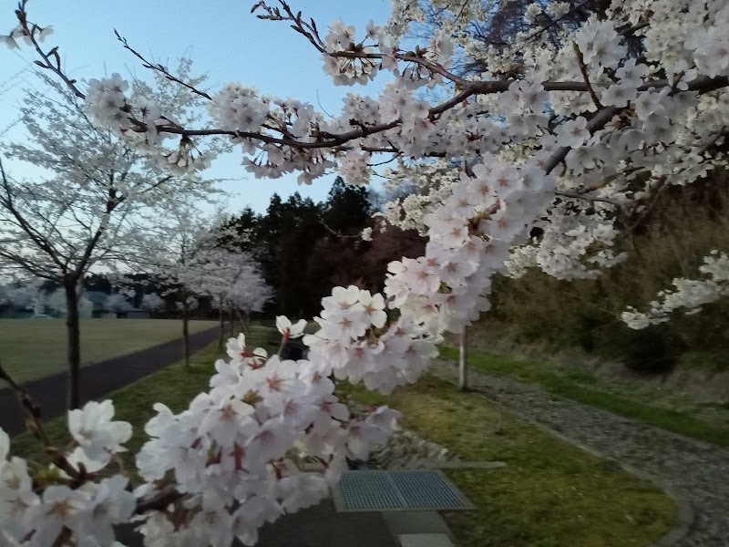 中通ふれあい広場