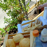 Photo n°1 de l'avis de debora.T fait le 31/05/2023 à 16:42 sur le  A Stàgh Bàn Riccione à Riccione