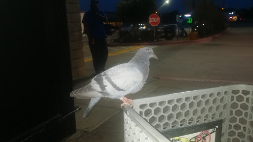 Grocery Store «Kroger», reviews and photos, 514 S Carrier Pkwy, Grand Prairie, TX 75051, USA