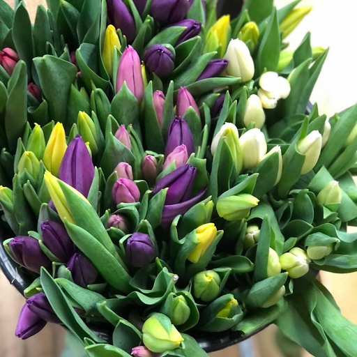 Florist «Plumeria Botanical Boutique», reviews and photos, 1364 W Michigan Ave, Battle Creek, MI 49037, USA