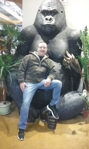 Furniture Store «Ashley HomeStore», reviews and photos, 251 Mundy St, Wilkes-Barre, PA 18702, USA