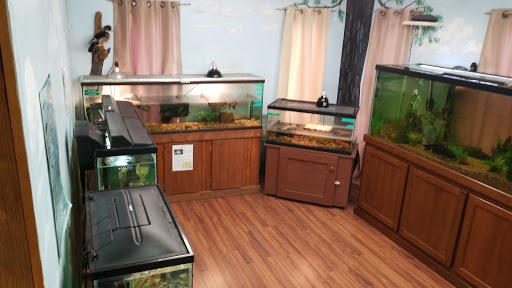 Park «Lake Houston Wilderness Park», reviews and photos, 25840 FM 1485, New Caney, TX 77357, USA