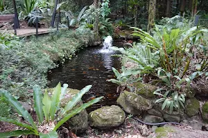 Stony Range Regional Botanic Garden image