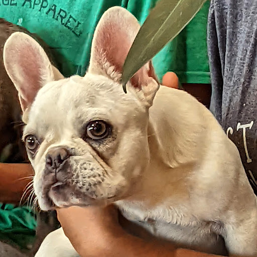 1879 US-287, Decatur, TX 76234, USA