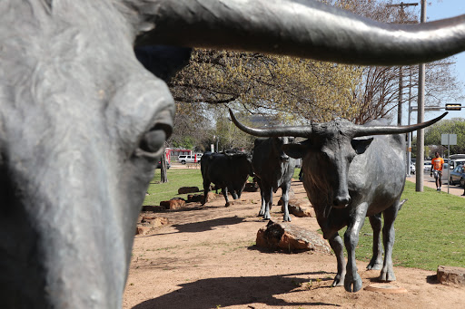 National Park «Waco Mammoth National Monument», reviews and photos, 6220 Steinbeck Bend Dr, Waco, TX 76708, USA