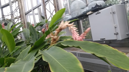 Aquarium «Belle Isle Aquarium», reviews and photos, 900 Inselruhe Ave, Detroit, MI 48207, USA