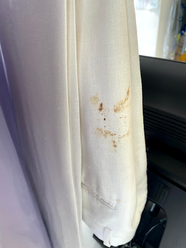 Dry Cleaner «Oxxo Care Cleaners», reviews and photos, 1501 E Las Olas Blvd, Fort Lauderdale, FL 33301, USA