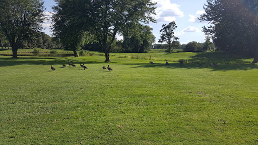 Golf Club «Bunker Hills Golf Club», reviews and photos, 12800 Bunker Prairie Rd NW, Coon Rapids, MN 55448, USA