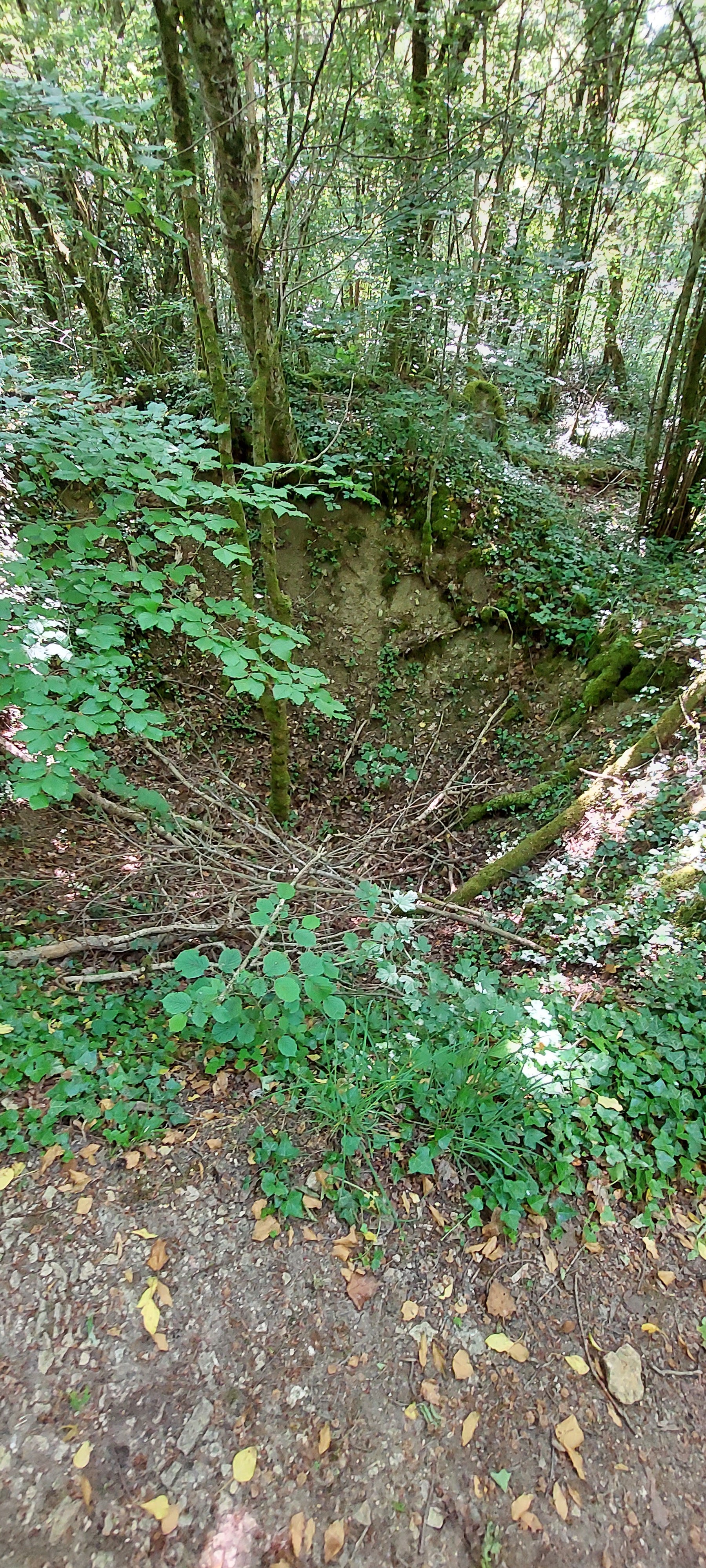 Photo n° 5 de l'avis de Thomas.h fait le 12/06/2023 à 18:43