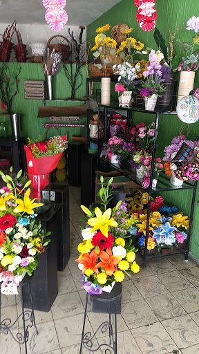 Florería Francesa – Colima