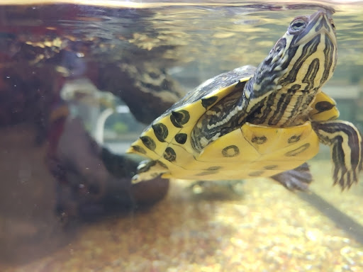 Pet Supply Store «Petco Animal Supplies», reviews and photos, 195 E 12300 S, Draper, UT 84020, USA