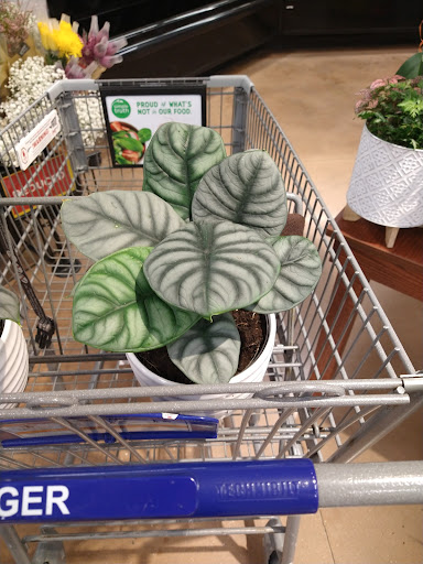 Shopping Mall «Surrey Square Mall & Center», reviews and photos, 4500 Montgomery Rd, Cincinnati, OH 45212, USA