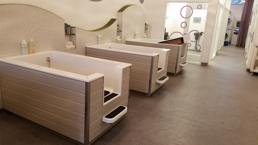 Pet Groomer «Bubbly Paws Dog Wash & Grooming», reviews and photos, 949 Grand Ave, St Paul, MN 55105, USA