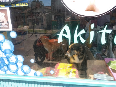 Pet Shop - Spa Canino Akitu