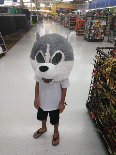 Department Store «Walmart Supercenter», reviews and photos, 4400 13th St, St Cloud, FL 34769, USA