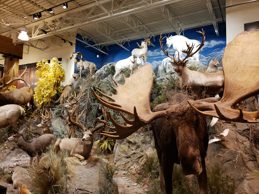 Outdoor Sports Store «Field & Stream», reviews and photos, 520 Clock Tower Way, Crescent Springs, KY 41017, USA