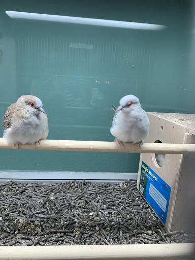 Pet Supply Store «Pet Supplies Plus», reviews and photos, 2160 Anderson Rd, Petoskey, MI 49770, USA