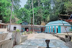 Maa Narayani Temple, Phulta image