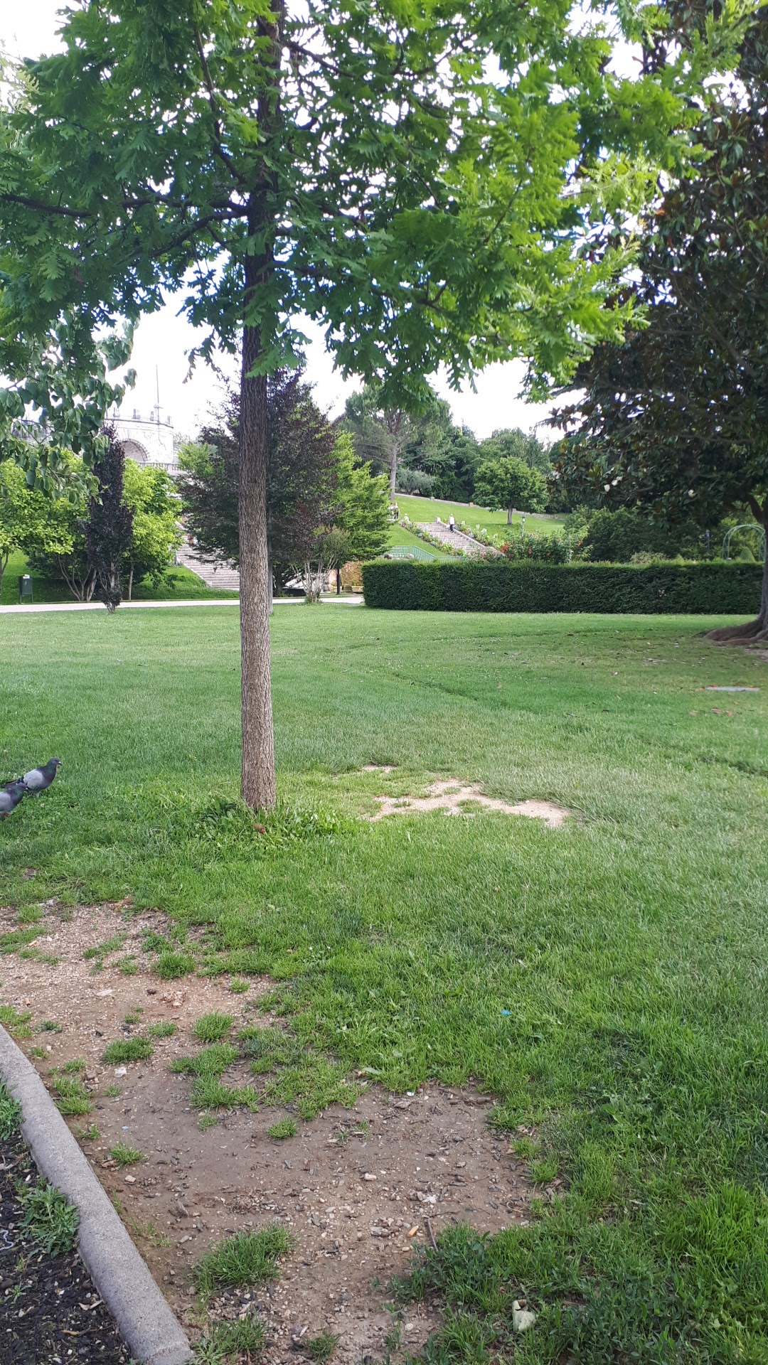 Photo n° 3 de l'avis de Aurore.l fait le 29/06/2021 à 14:28