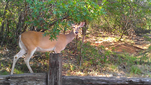 Wildlife refuge Abilene