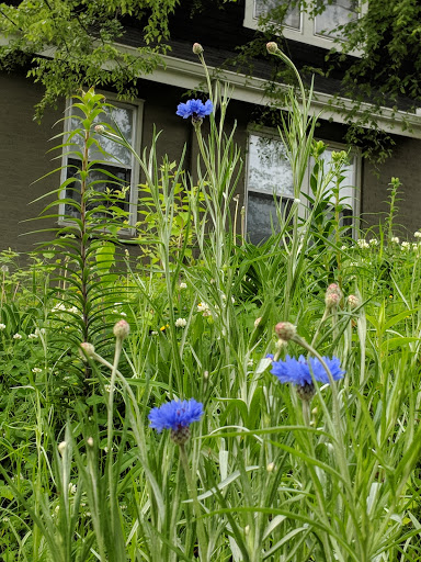 Park «Fannie Mae Dees Park», reviews and photos, 2400 Blakemore Ave, Nashville, TN 37212, USA