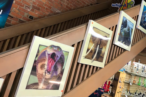 Tobacco Shop «Pioneer Smoke Shop», reviews and photos, 313 1st Avenue South, Seattle, WA 98104, USA