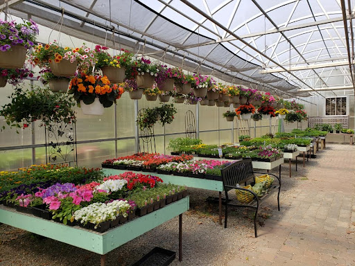 Garden Center «Town & Country Nurseries», reviews and photos, 1036 Saybrook Rd, Haddam, CT 06438, USA