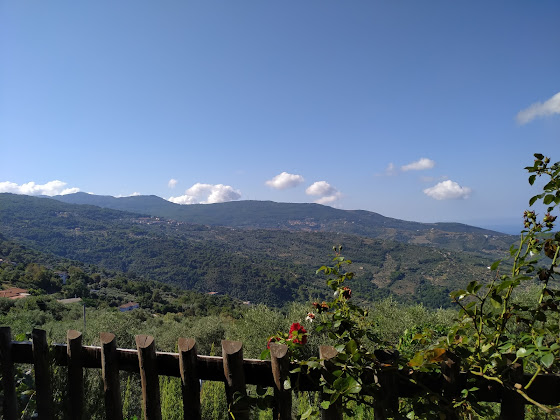 Photos des visiteurs Hébergement d'intérieur Casale il Gheppio 84050 Laureana Cilento