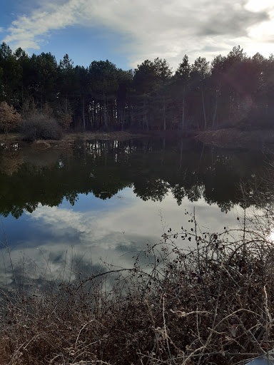 Ayuntamiento De Villota Del Páramo, Ayuntamiento en Villota del Páramo,Palencia