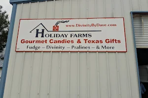 Holiday Farms image
