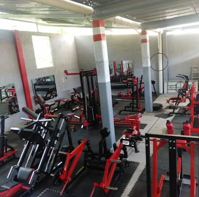 Taijif Gym - Benito Juárez 5, Las Palmas, 40330 Buenavista de Cuéllar, Gro., Mexico