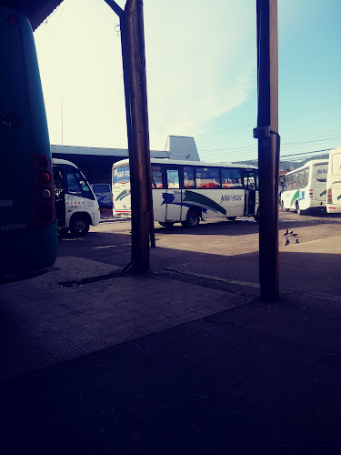 Comentarios y opiniones de Terminal de Buses Rurales Temuco