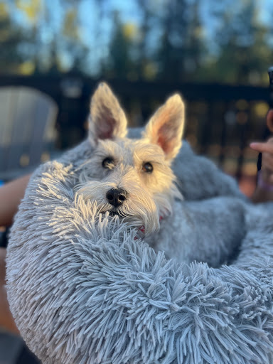 Insurance Agency «Nanette McClelland-Miller - State Farm Insurance Agent», reviews and photos