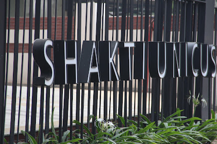 Google Maps image 24