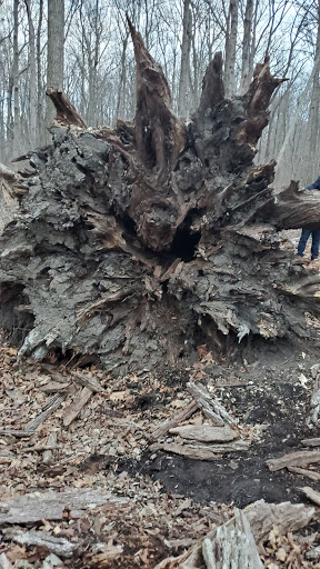 Nature Preserve «Meltzer Woods», reviews and photos, 1522 S 600 E, Shelbyville, IN 46176, USA