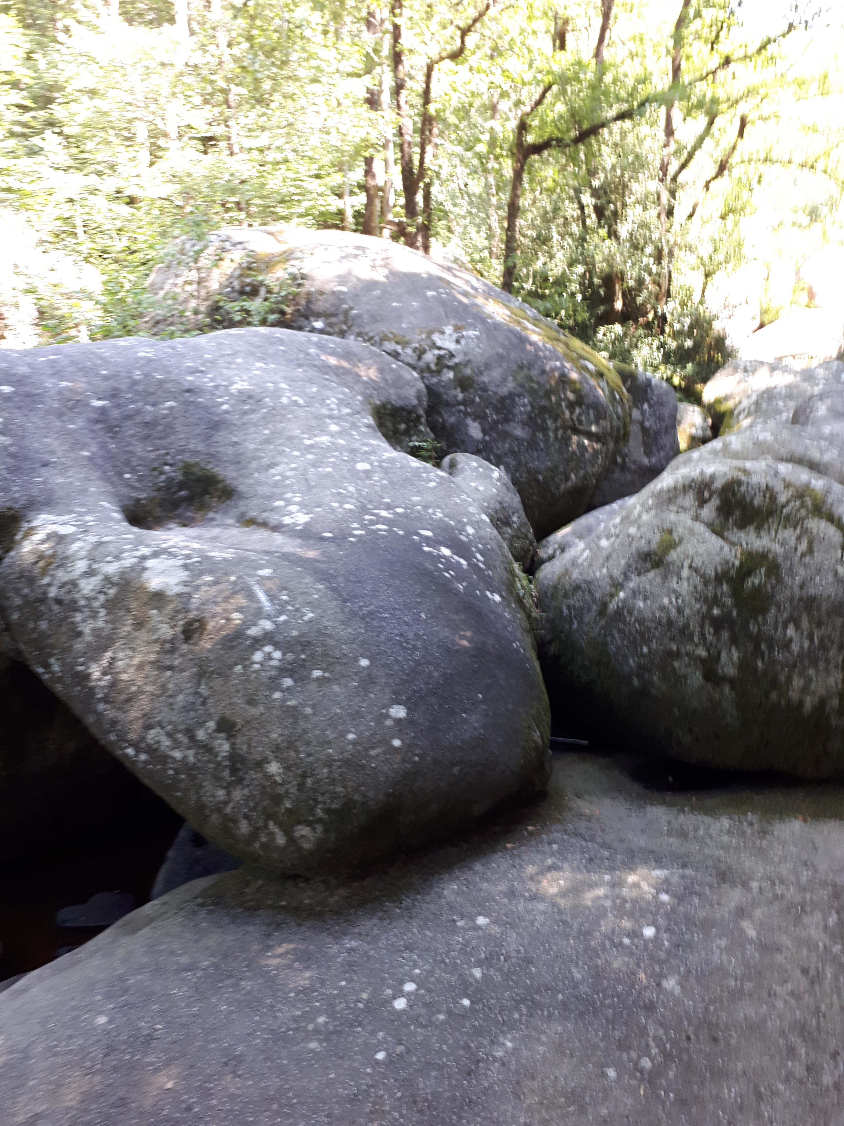 Photo n° 2 de l'avis de Axel. fait le 03/09/2018 à 10:21