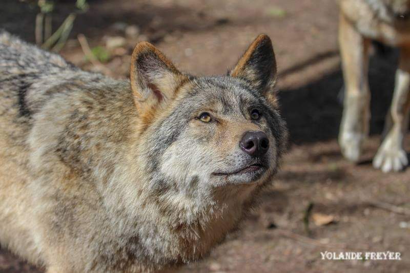 Photo n° 8 de l'avis de yolande.r fait le 24/10/2023 à 19:03