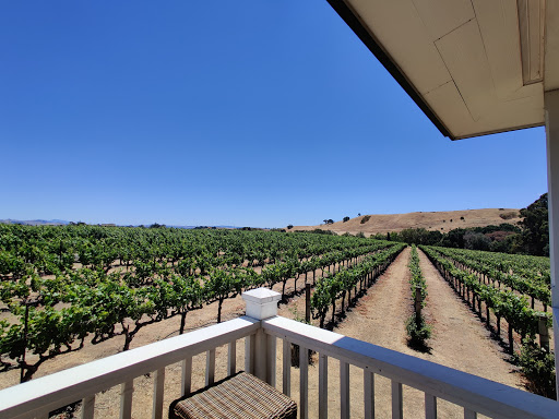 Winery «Kieu Hoang Winery», reviews and photos, 1285 Dealy Ln, Napa, CA 94559, USA