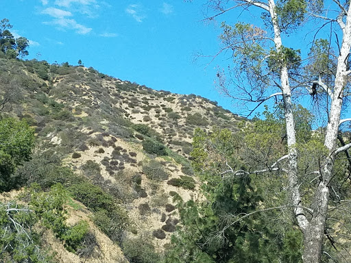 Amphitheater «The Greek Theatre», reviews and photos, 2700 N Vermont Ave, Los Angeles, CA 90027, USA