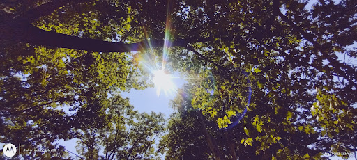 Laundromat «Hanover Avenue Coin Laundry», reviews and photos, 1501 Hanover Ave, Allentown, PA 18109, USA