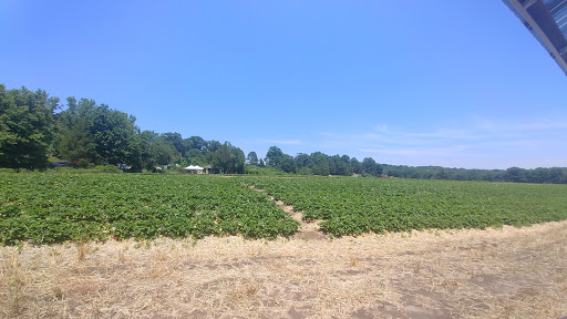 Farm «Jones Family Farms», reviews and photos, 606 Walnut Tree Hill Rd, Shelton, CT 06484, USA