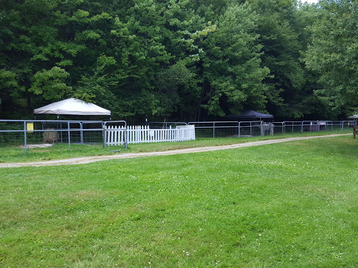 Zoo «The Petting Zoo at Breezeway Farm», reviews and photos, 161 Anawana Lake Road, Monticello, NY 12701, USA