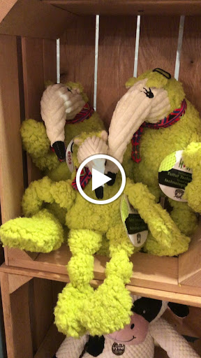 Pet Supply Store «3 Dogs 1 Cat», reviews and photos, 2472 Riopelle St, Detroit, MI 48207, USA